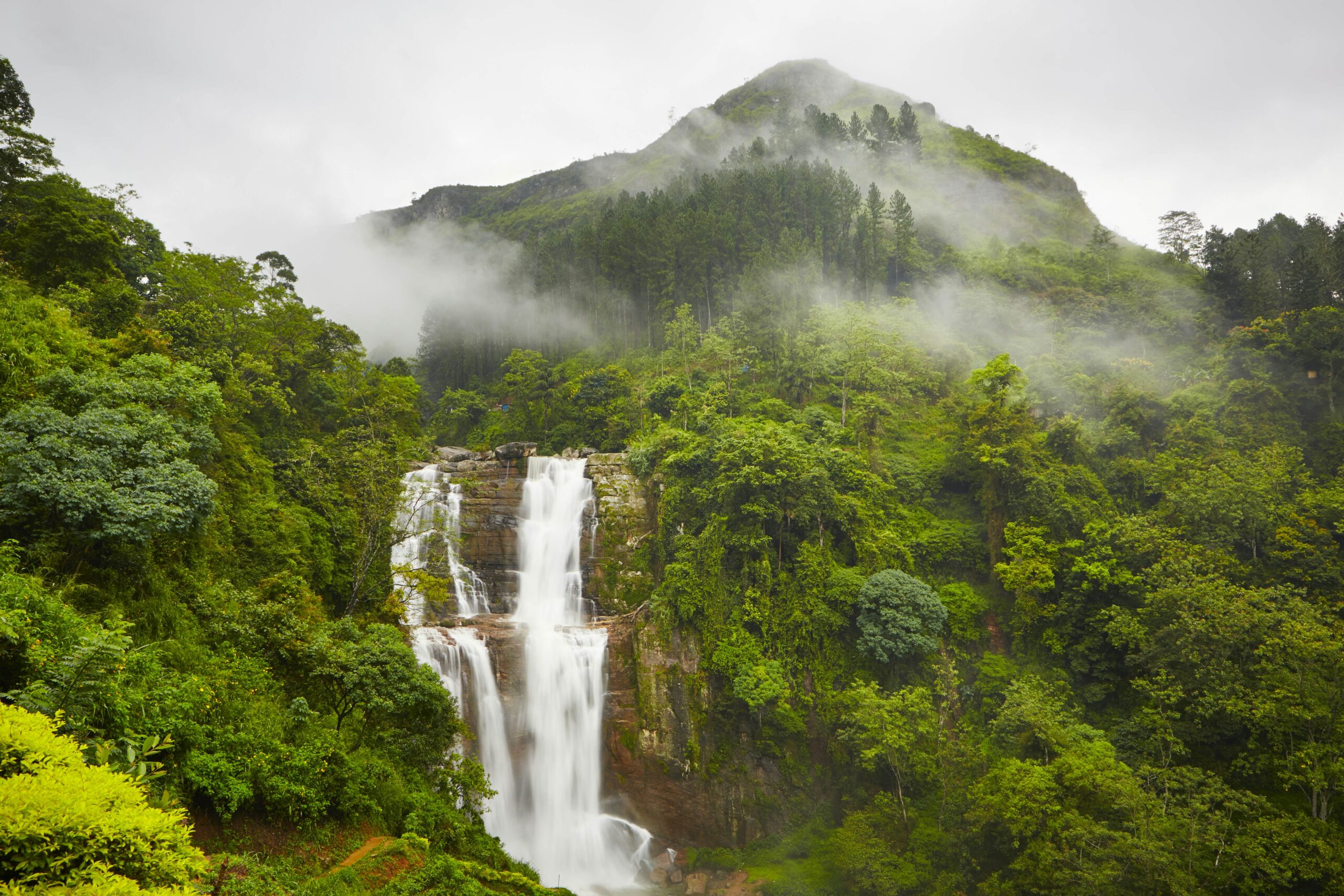Nuwara Eliya hill country